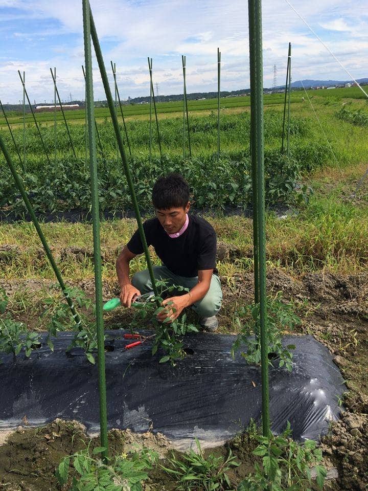 Cọc Lõi Thép Bọc Nhựa Nhật - 3