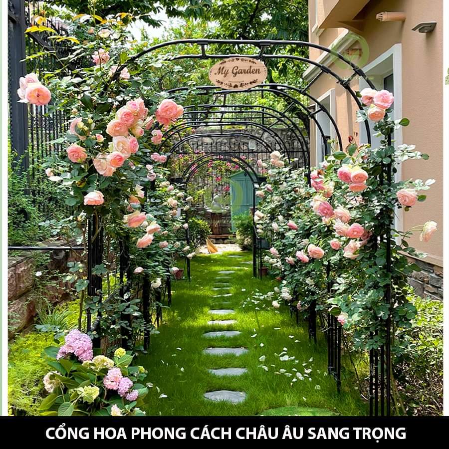 Cổng Vòm Hoa | Vật tư trồng hồng Bảo Minh
