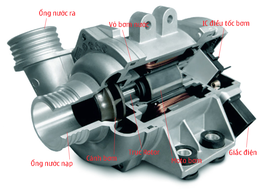 Bơm nước làm mát động cơ BMW - Phụ tùng BMW