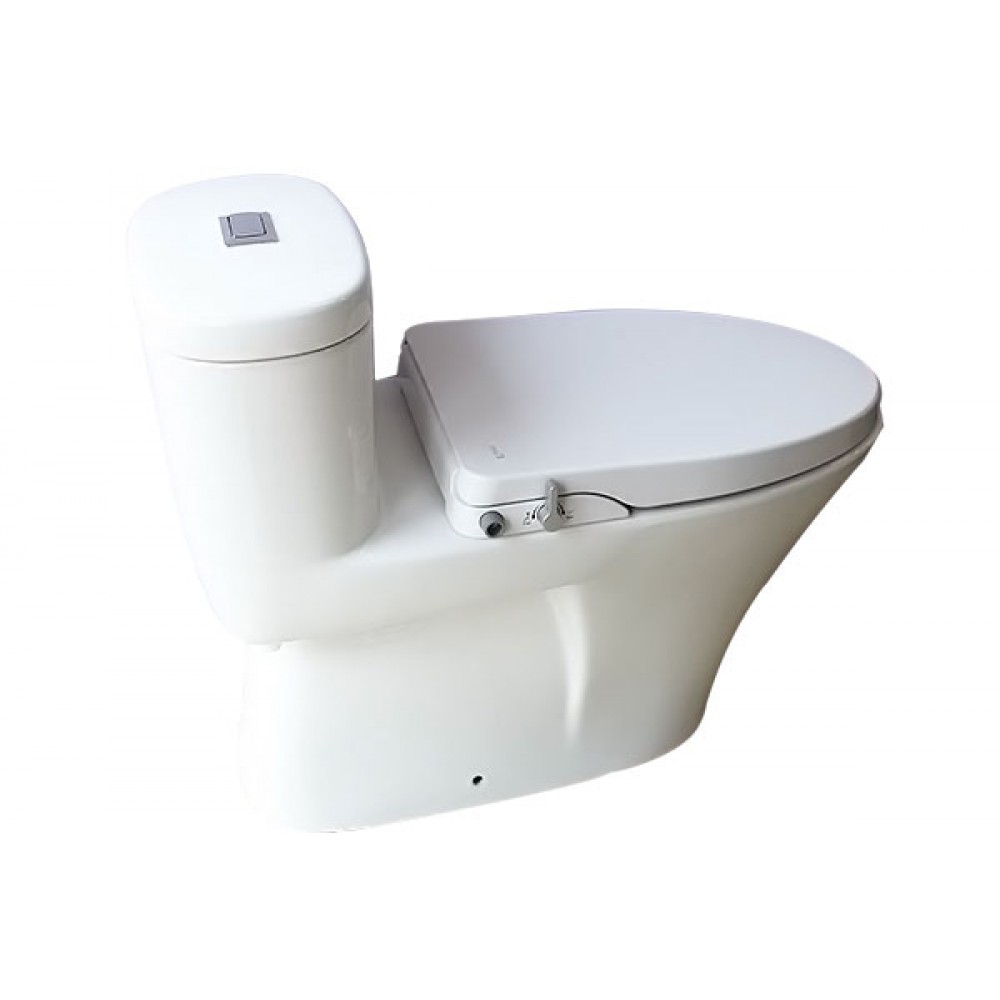 Bàn Cầu INAX AC-959A/CW-S15VN