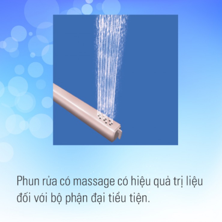 Nắp Điện Tử INAX CW-KB22AVN