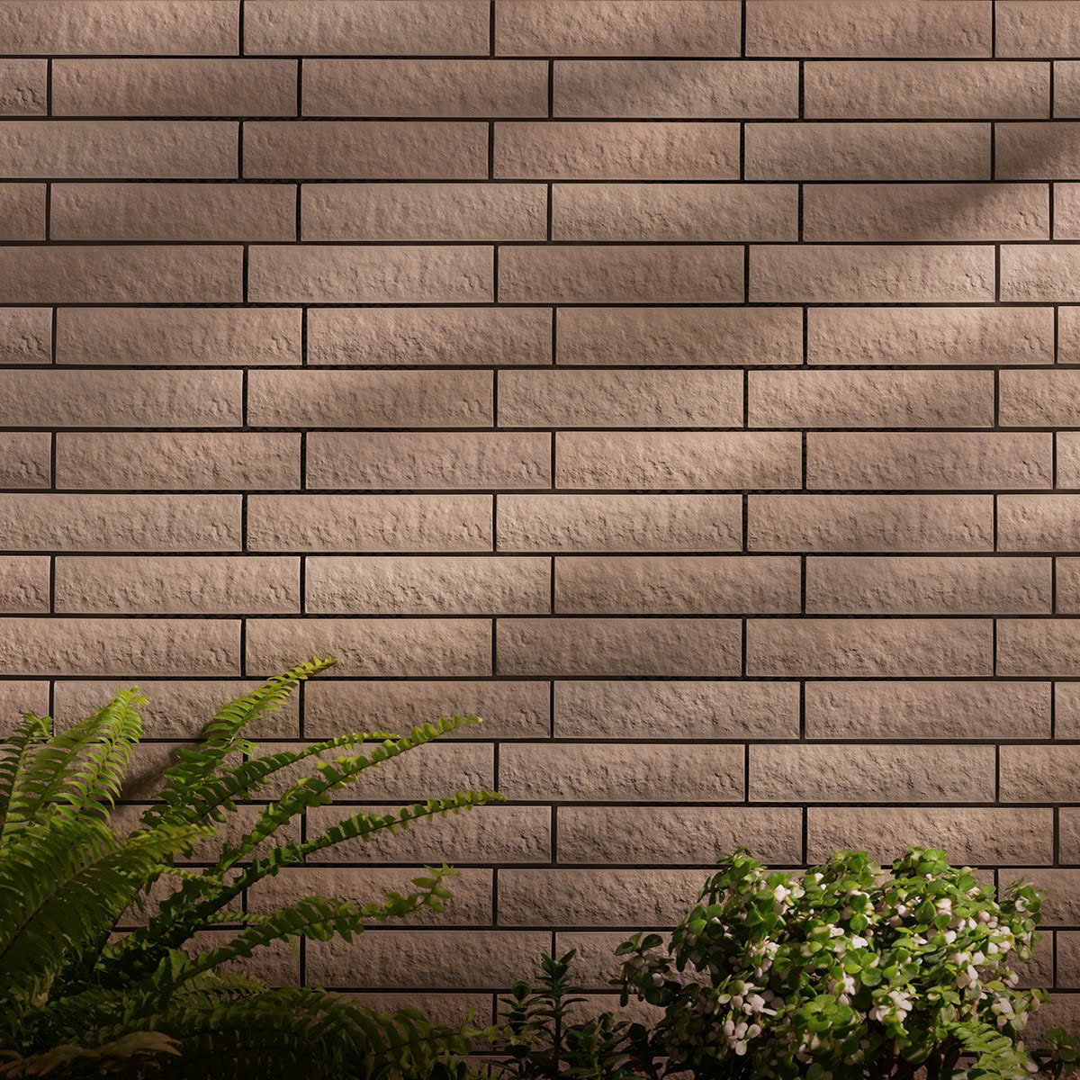 𝐂𝐄𝐋𝐀𝐕𝐈𝐎 𝐆𝐑𝐀𝐍 𝐕