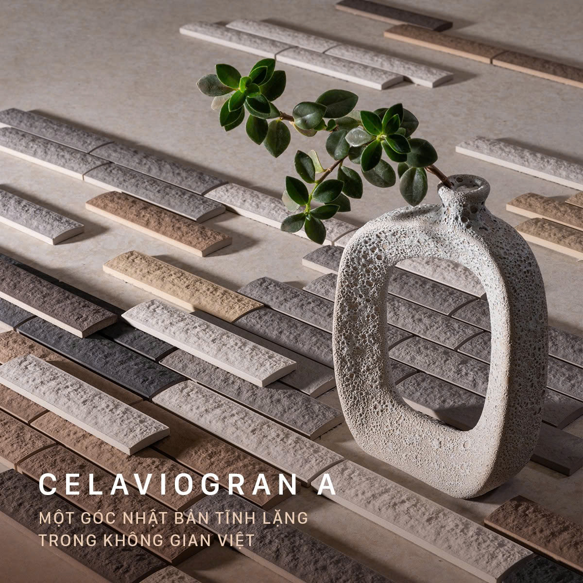 𝐂𝐄𝐋𝐀𝐕𝐈𝐎 𝐆𝐑𝐀𝐍 𝐕