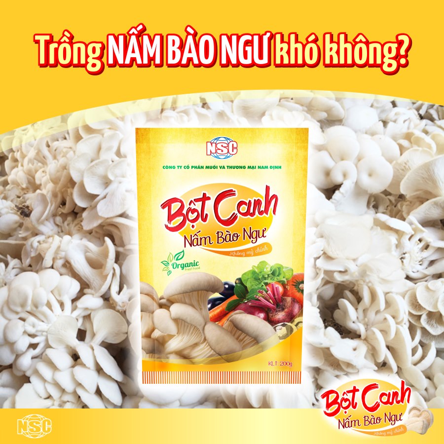 TRỒNG NẤM BÀO NGƯ KHÓ KHÔNG?