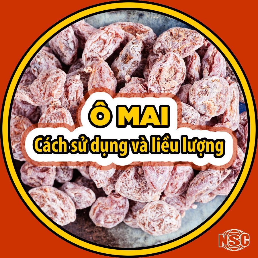 Ô MAI - CÁCH SỬ DỤNG VÀ LIỀU LƯỢNG