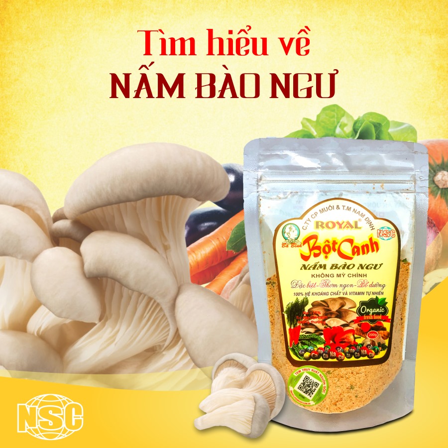 Tìm hiểu về Nấm bào ngư