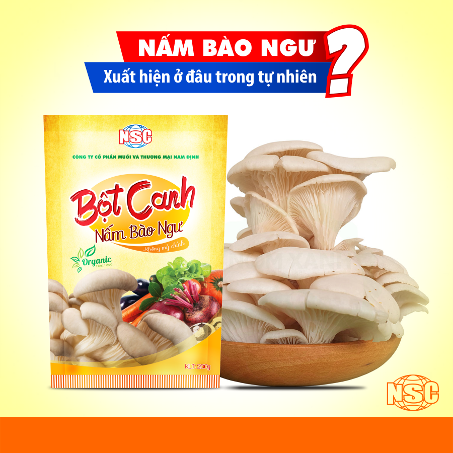 NẤM BÀO NGƯ XUẤT HIỆN Ở ĐÂU TRONG TỰ NHIÊN?