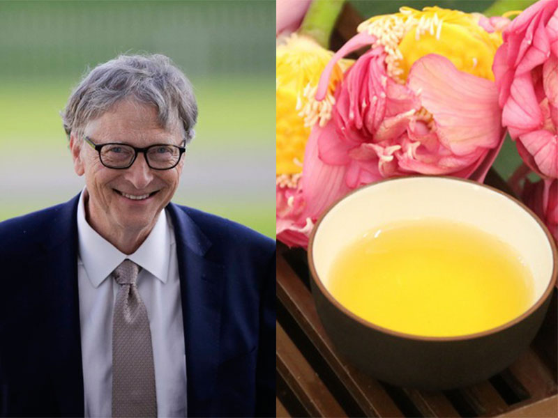 Trà sen mà tỷ phú Bill Gates thưởng thức có gì đặc biệt?