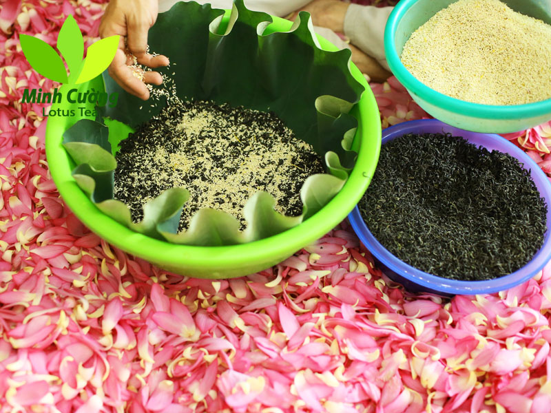 Nghề làm trà sen Tây Hồ đòi hỏi nhiều tâm huyết, kinh nghiệm