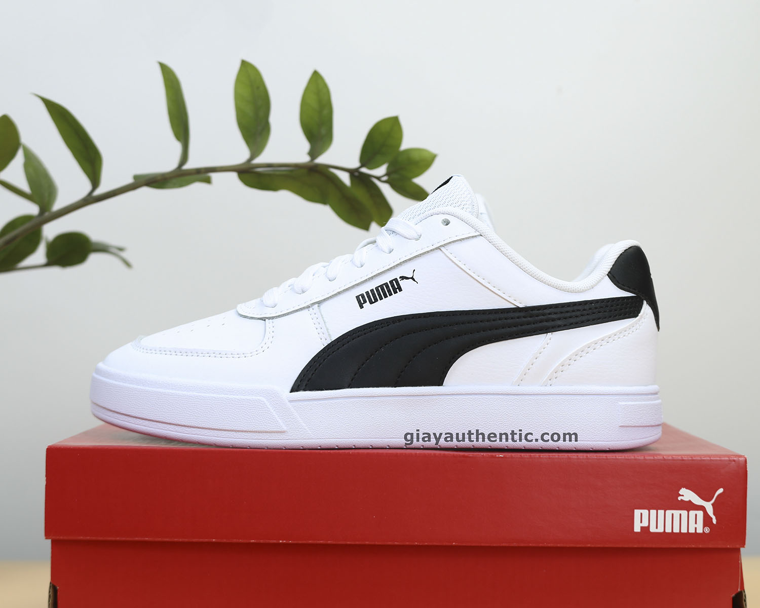 ảnh chính giày Puma Caven chính hãng 38081002