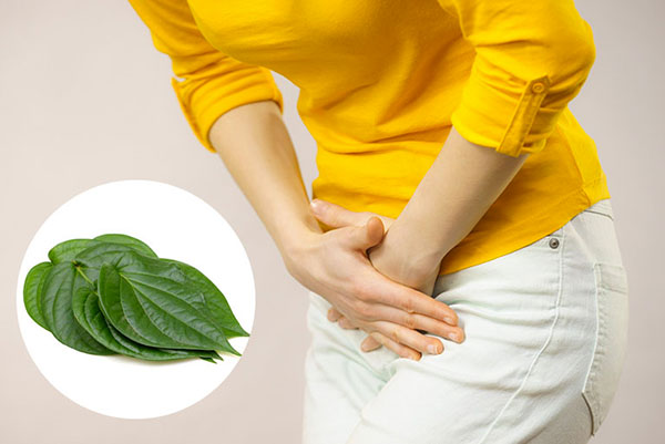 Không nên rửa vùng kín bằng lá trầu không vào ngày đèn đỏ
