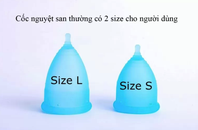 Cốc nguyệt san có 2 size chính là S và L