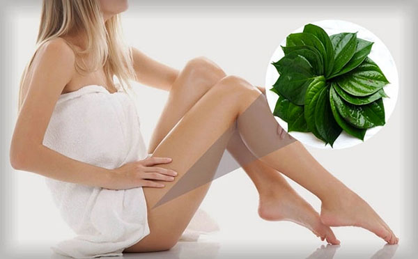 Rửa vùng kín bằng lá trầu không có thể mang lại nhiều tác hại