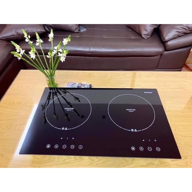 Bếp từ Steba Ik300 chính hãng