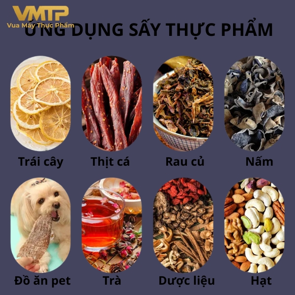 Máy Sấy Thực Phẩm Công Nghiệp 16 Khay SS-16C