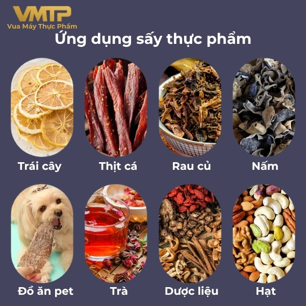 Máy Sấy Thực Phẩm Gia Đình 12 Khay SS-12H