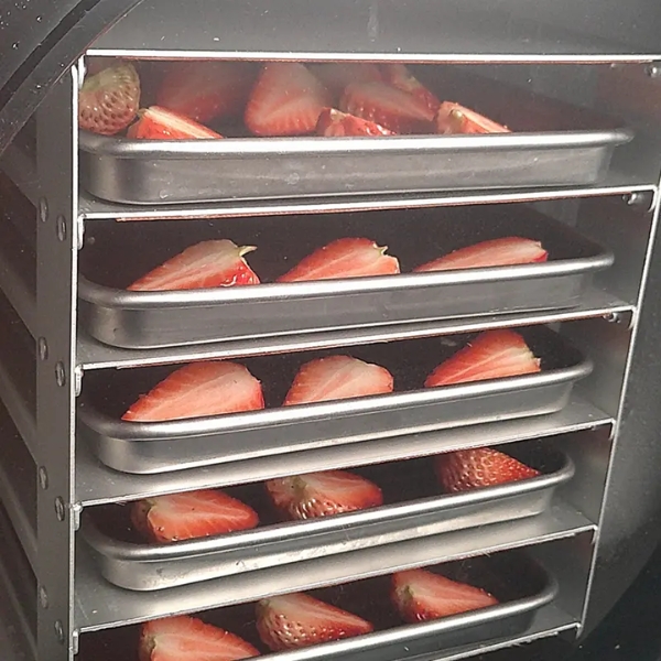 Máy Sấy Thực Phẩm Thăng Hoa 10Kg DFD-10