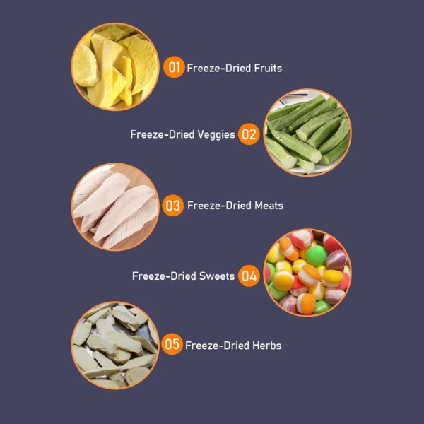 Máy Sấy Thực Phẩm Thăng Hoa 20Kg DFD-20B