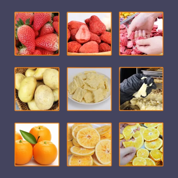 Máy Sấy Thực Phẩm Thăng Hoa 4Kg DFD-04