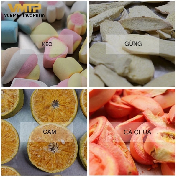 Máy Sấy Thực Phẩm Thăng Hoa 4Kg DFD-04
