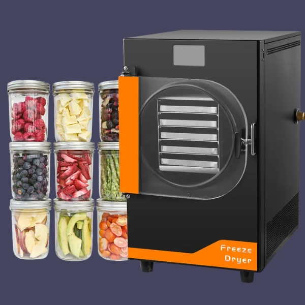 Máy Sấy Thực Phẩm Thăng Hoa 6Kg DFD-06