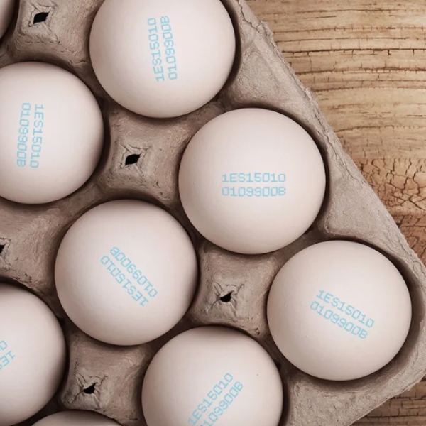 Máy In Date Công Nghiệp DP16A