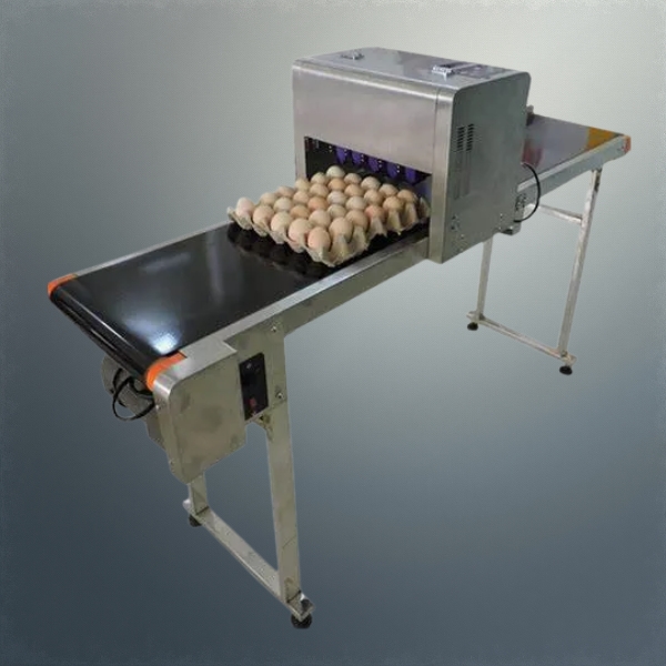 Máy In Date Công Nghiệp DP16A