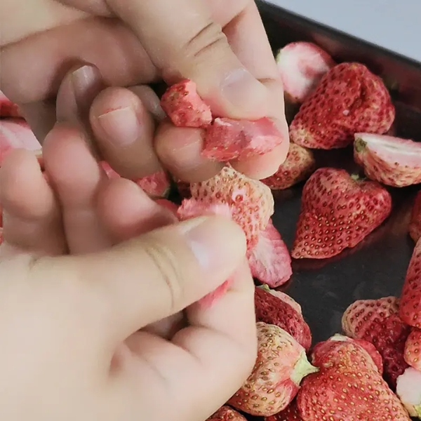 Máy Sấy Thực Phẩm Thăng Hoa 10Kg DFD-10