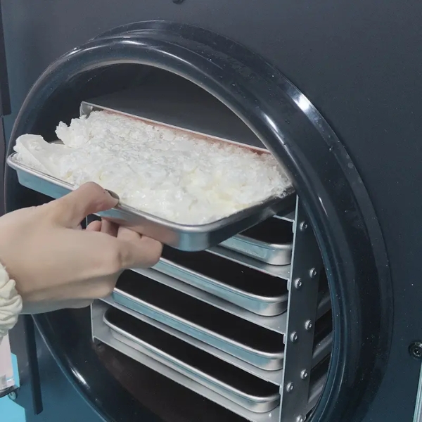 Máy Sấy Thực Phẩm Thăng Hoa 20Kg DFD-20B