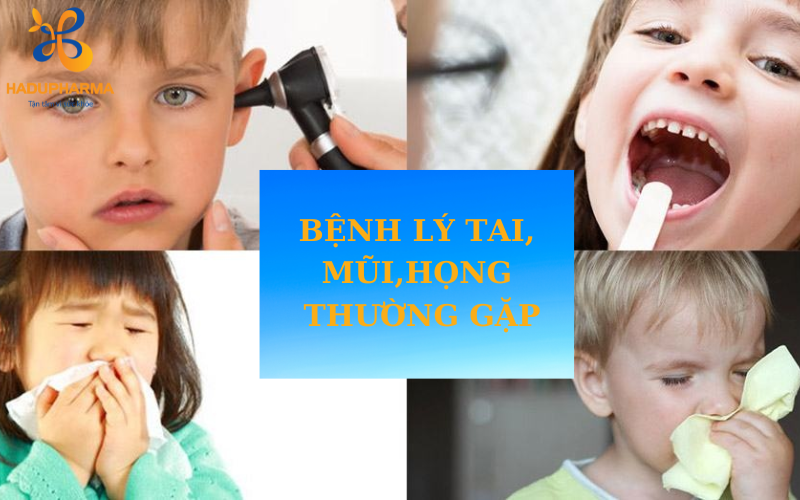 TOP 5 BỆNH LÝ TAI, MŨI, HỌNG THƯỜNG GẶP