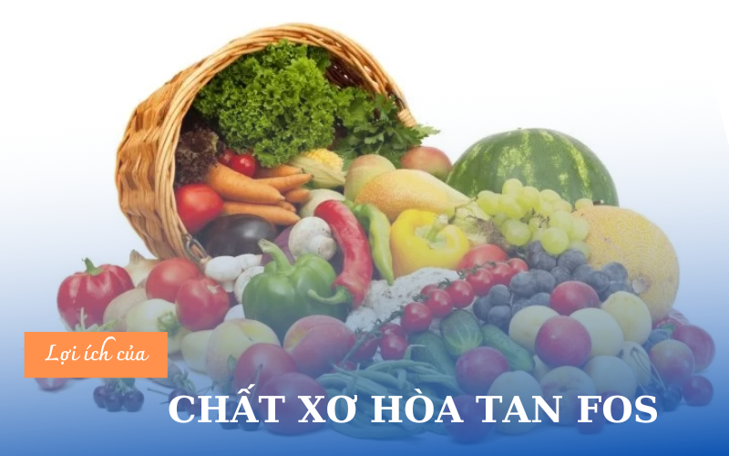 CHẤT XƠ HÒA TAN FOS VÀ LỢI ÍCH CỦA NÓ VỚI SỨC KHỎE