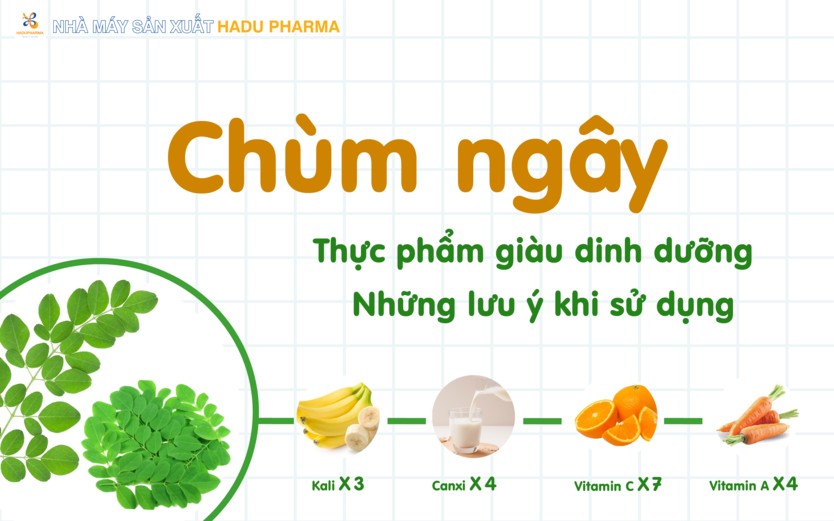 Chùm ngây - Thực phẩm giàu dinh dưỡng và những lưu ý khi sử dụng