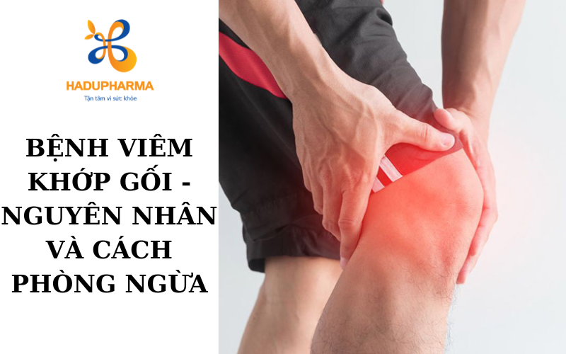 BỆNH VIÊM KHỚP GỐI - NGUYÊN NHÂN VÀ CÁCH PHÒNG NGỪA