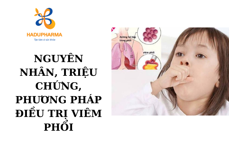 NGUYÊN NHÂN, TRIỆU CHỨNG, PHƯƠNG PHÁP ĐIỀU TRỊ VIÊM PHỔI