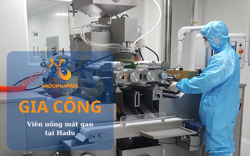 GIA CÔNG VIÊN UỐNG MÁT GAN - THẢI ĐỘC - THANH NHIỆT - BẢO VỆ GAN