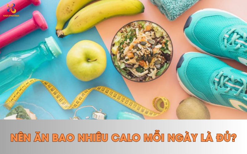 MỖI NGÀY BẠN NÊN ĂN BAO NHIÊU CALO?