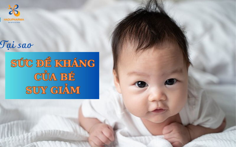 TẠI SAO SỨC ĐỀ KHÁNG CỦA TRẺ DỄ SUY GIẢM TỪ THÁNG THỨ 6?