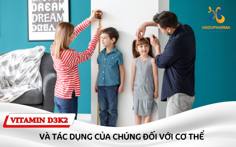 VITAMIN D3K2 CÓ TÁC DỤNG GÌ? CÁCH BỔ SUNG VITAMIN D3K2?