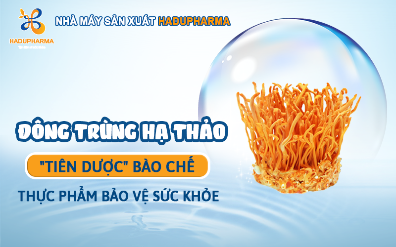 ĐÔNG TRÙNG HẠ THẢO - “TIÊN DƯỢC” BÀO CHẾ TPBVSK