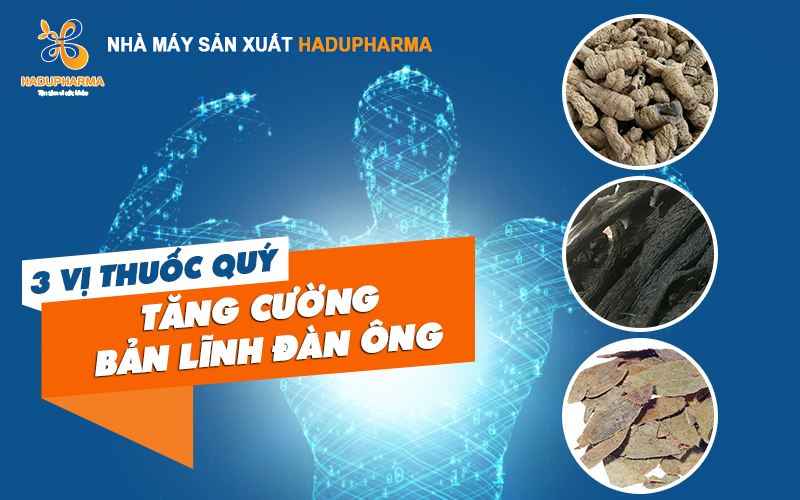 3 VỊ THUỐC QUÝ GIÚP TĂNG CƯỜNG BẢN LĨNH ĐÀN ÔNG