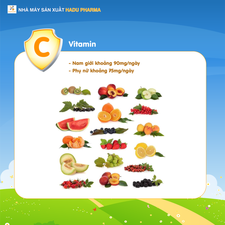 Vitamin C có rất nhiều công dụng khác nhau và một trong số đó chính là công dụng hỗ trợ hệ miễn dịch khỏe mạnh