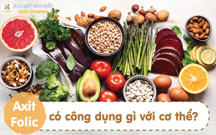 Axit folic có tác dụng cho lớn đối với sự hình thành và phát triển của cơ thể