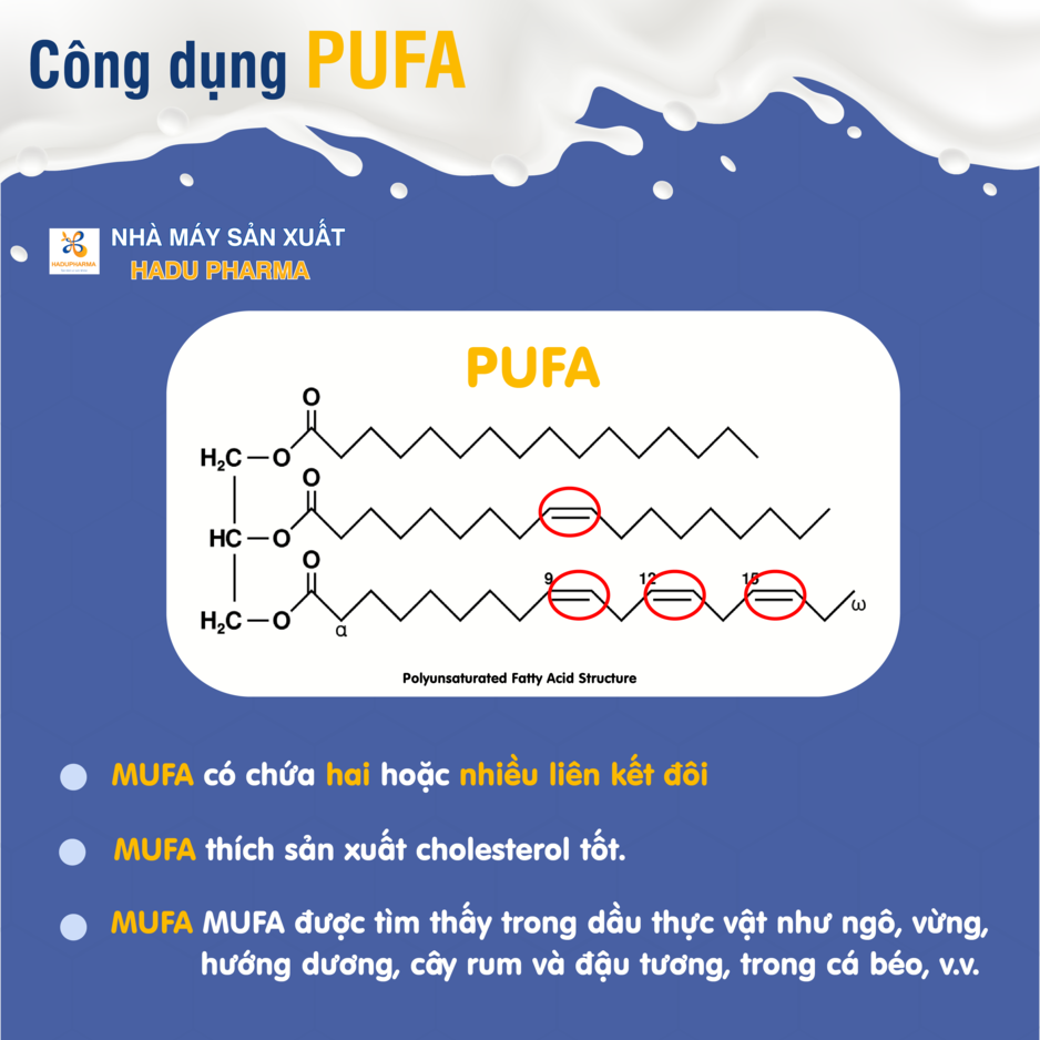 Đặc điểm cấu trúc của chất béo PUFA