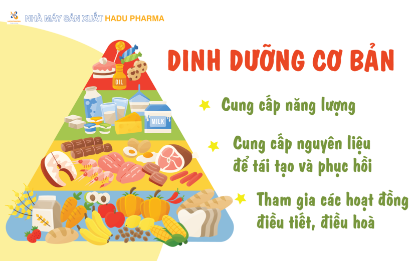 Nhiệm vụ của dinh dưỡng là duy trì và phát triển cơ thể khỏe mạnh