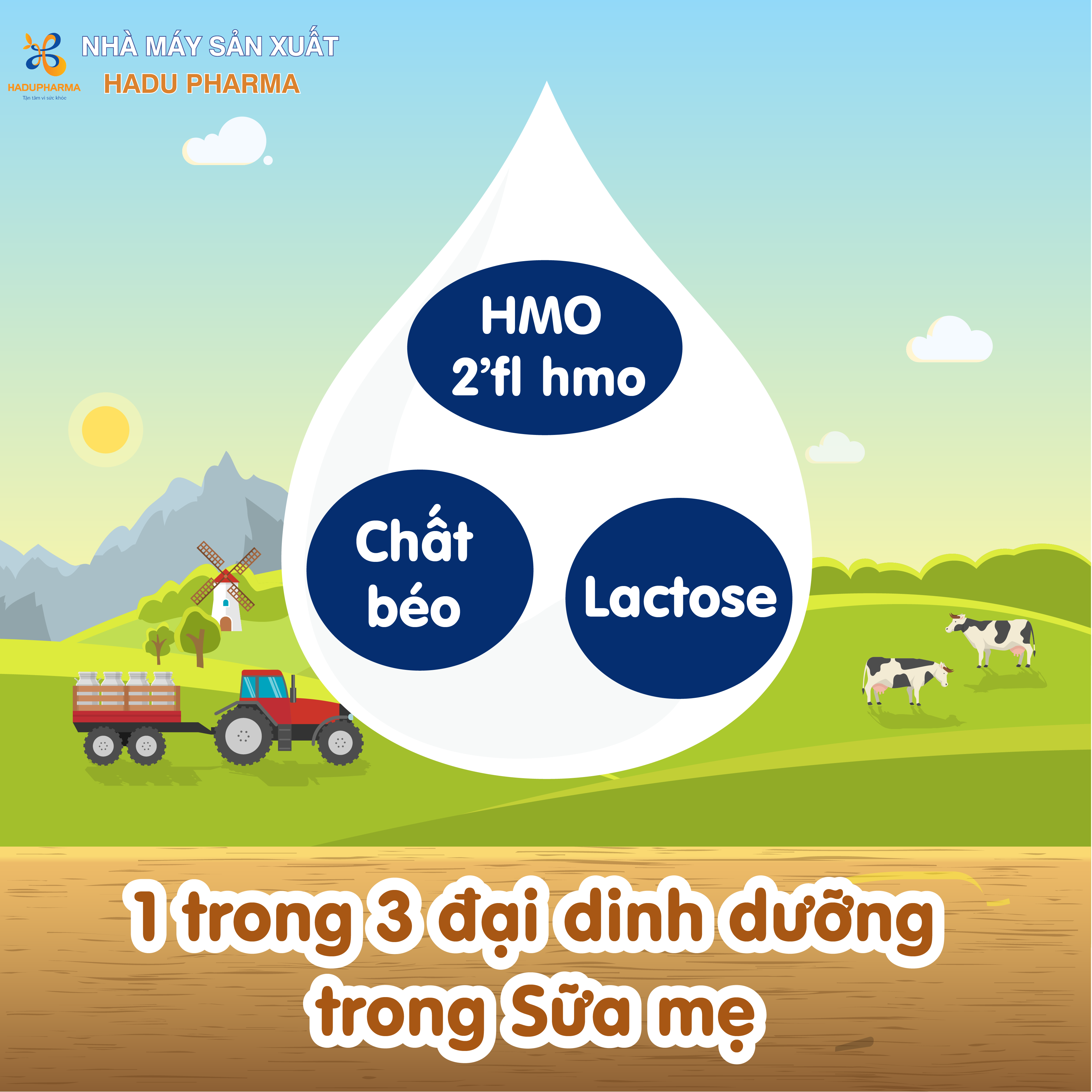 HMO là 1 trong 3 đại dinh dưỡng có trong nữa mẹ