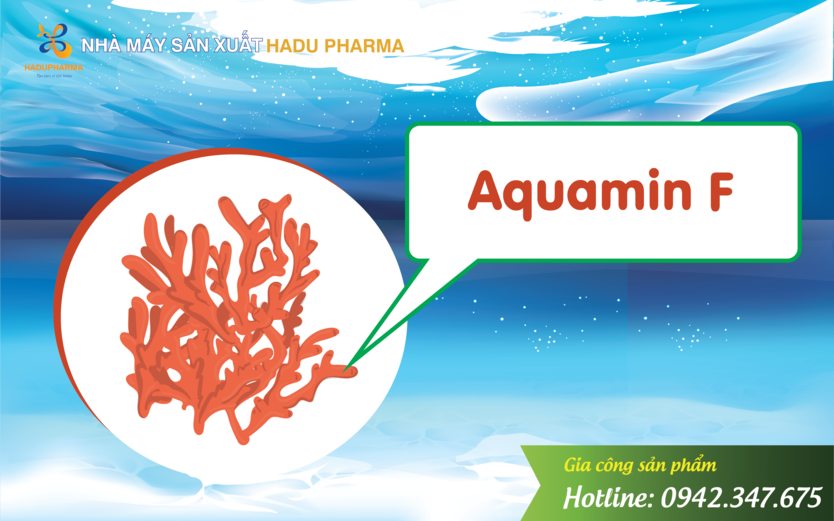 Aquamin F có trong tảo biển đỏ là nguồn dinh dưỡng canxi dồi dào cũng nhiều khoáng chất vi lượng