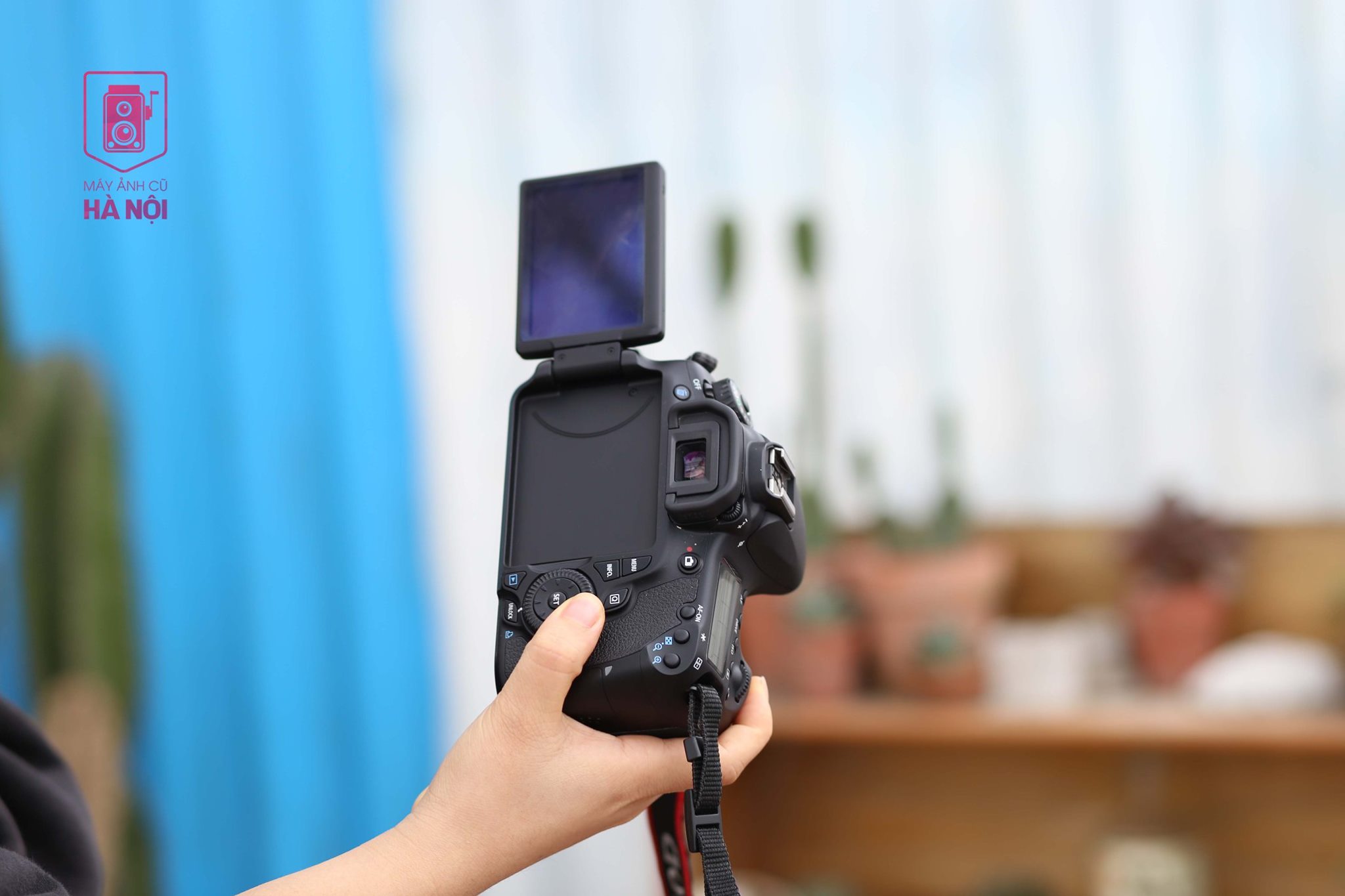 Canon 60D Có Quay Video Được Không? Khám Phá Khả Năng Ghi Hình Full HD 13 Mặt sau Canon 60D hiển thị các nút điều khiển và màn hình