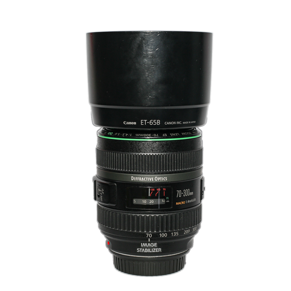 Canon EF 70-300mm f/4.5-5.6 DO IS USM (Used)