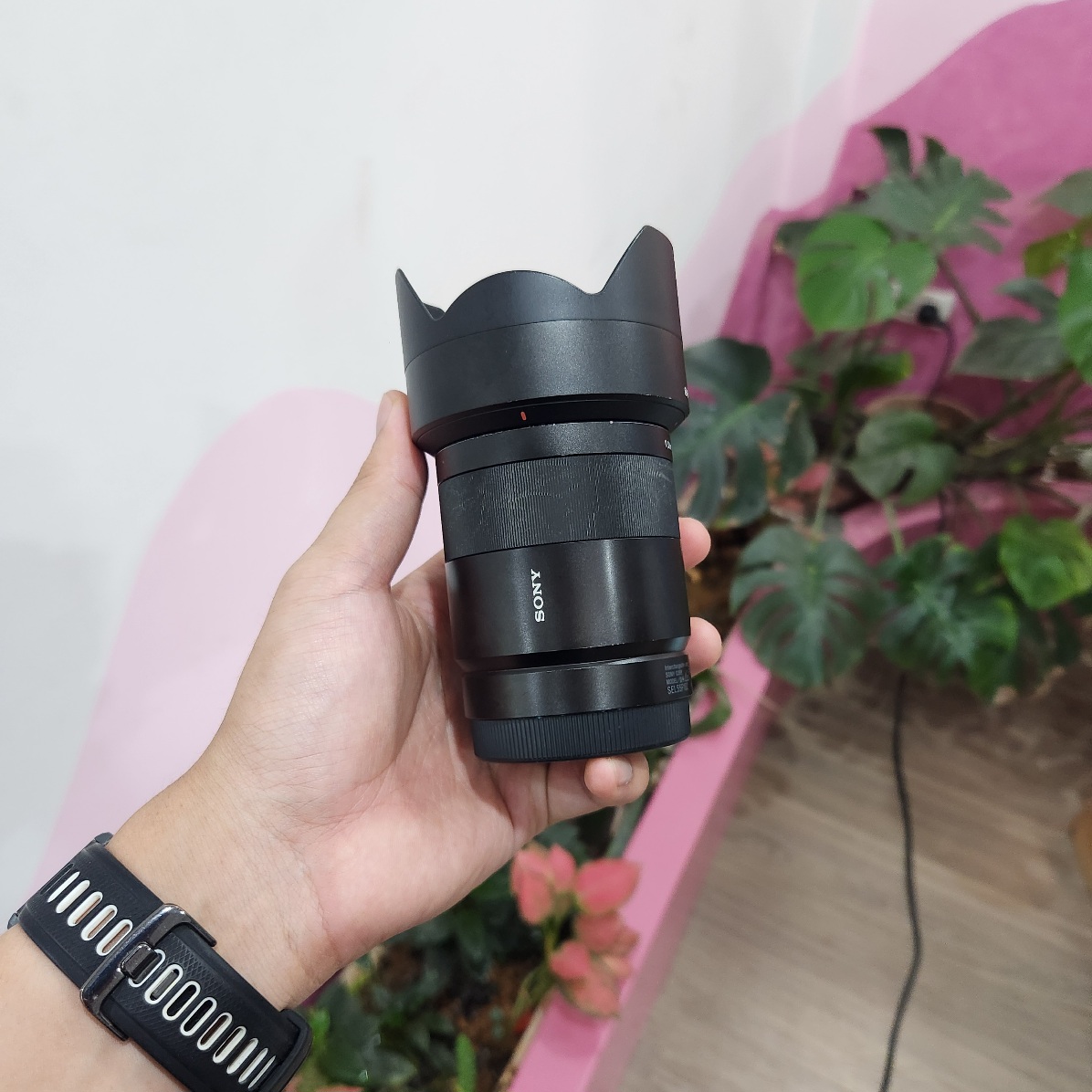 Sony Sonnar T* FE 55mm f/1.8 ZA (Used)