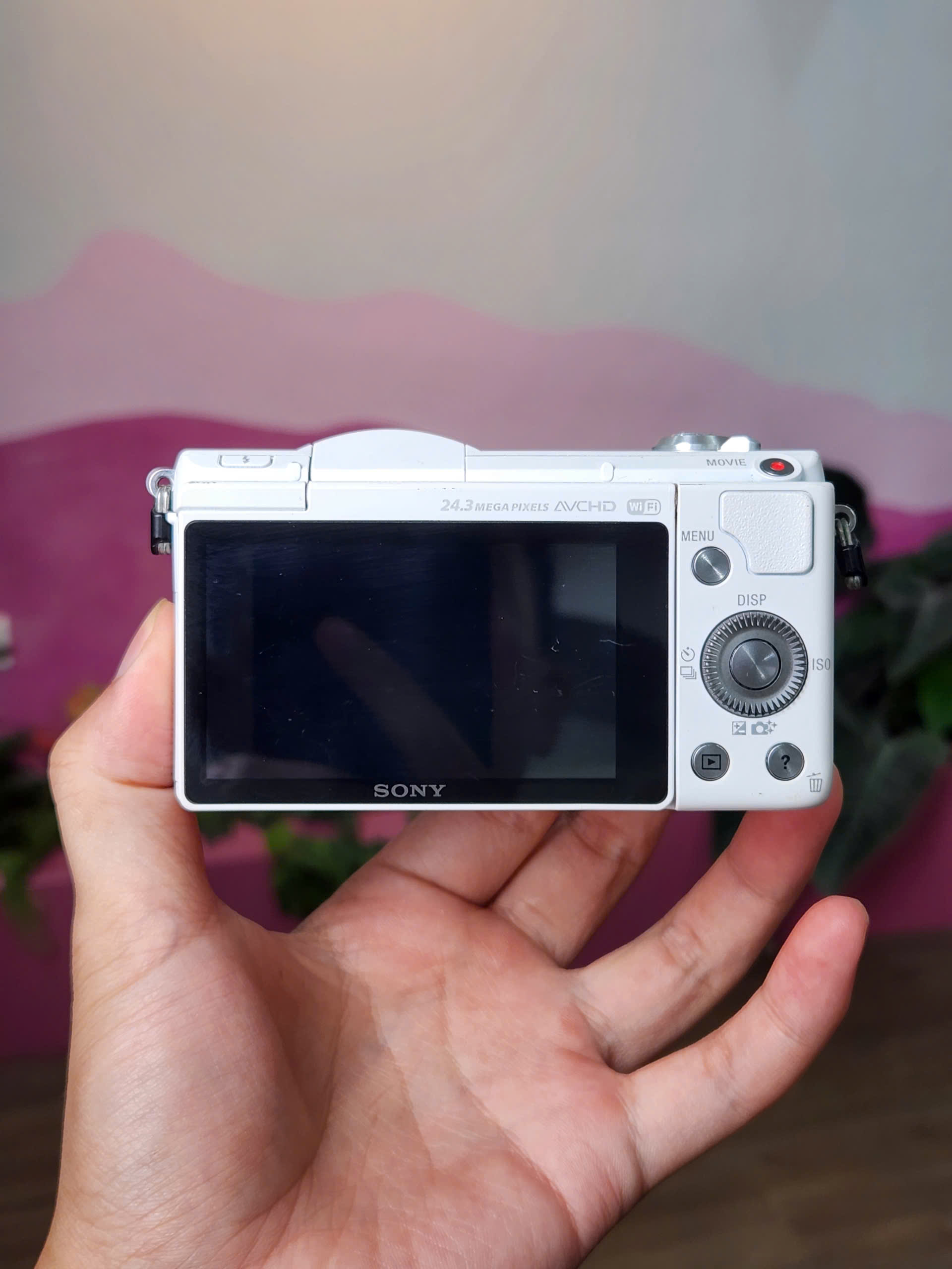 Sony A5100 (body)